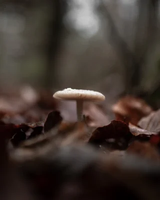 Instagram post from luma.designandphoto. This post is in position 4.