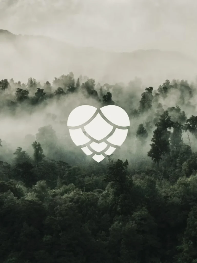 Instagram post from luma.designandphoto. This post is in position 1.