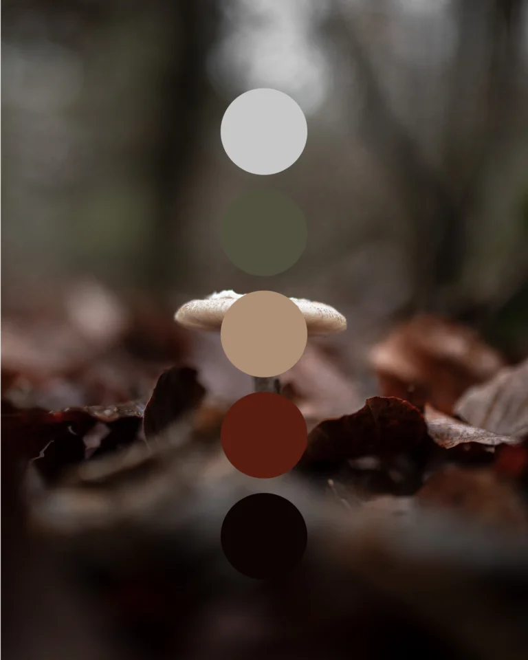 Instagram post from luma.designandphoto. This post is in position 1.